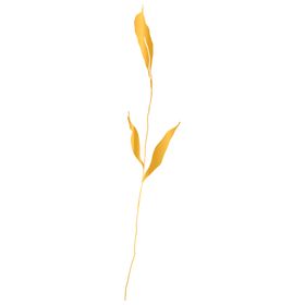 手绘花藤花纹