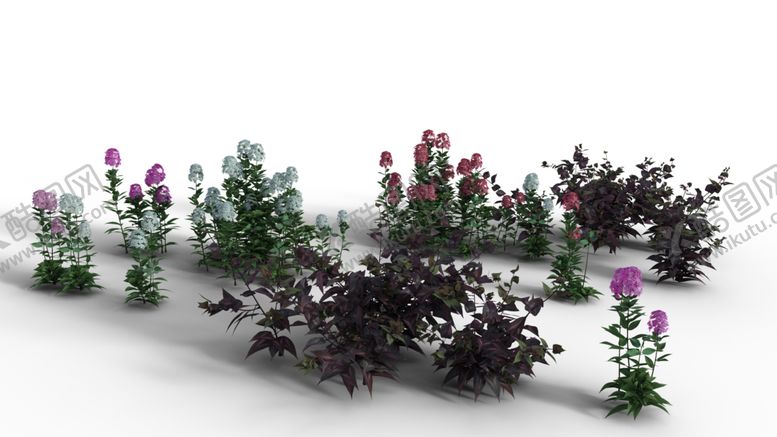 编号：28055510290027537036【酷图网】源文件下载-花朵