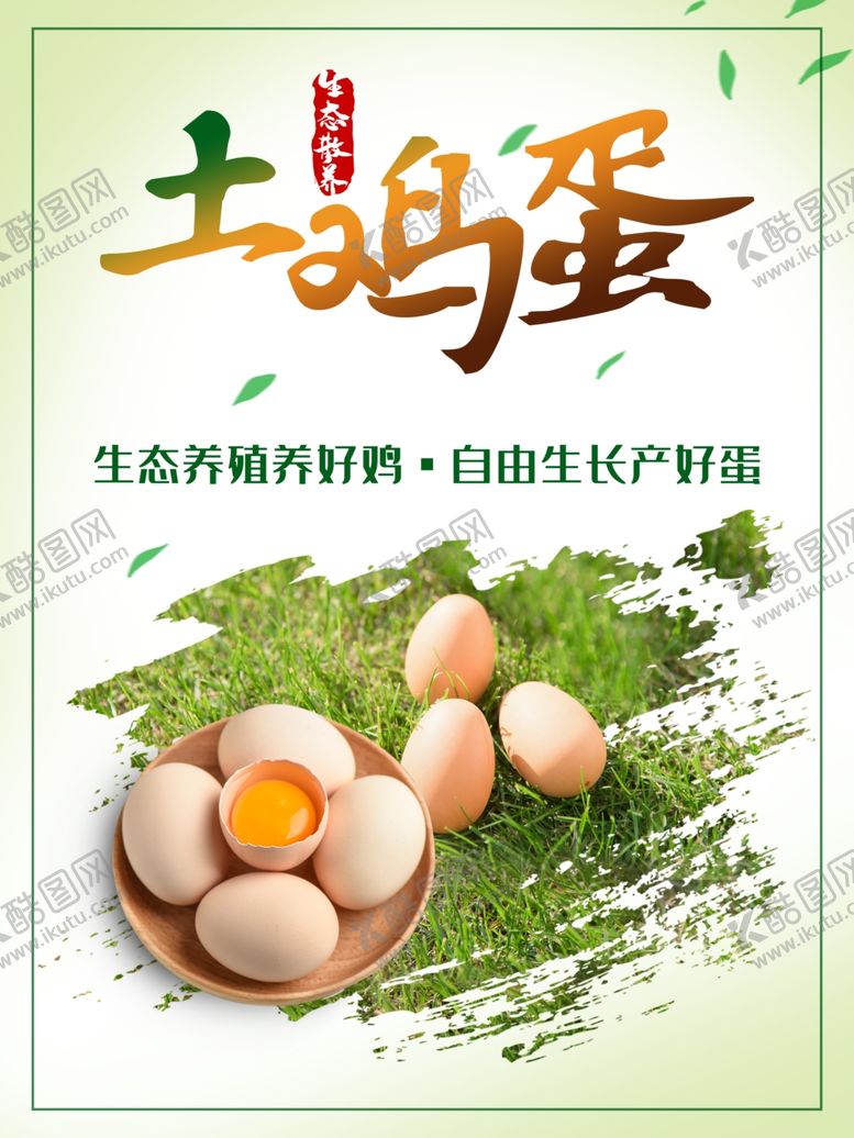 编号：96815909261831571191【酷图网】源文件下载-土鸡蛋