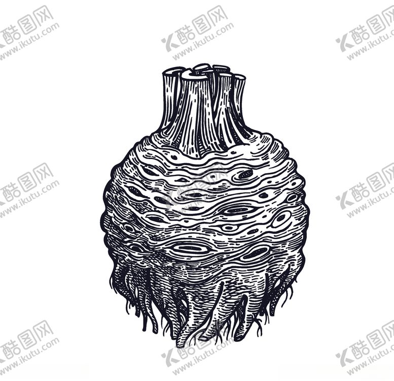 编号：20514309261625086993【酷图网】源文件下载-蔬菜