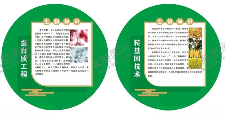 编号：68213001121406518308【酷图网】源文件下载-生物蛋白质工程转基因技术