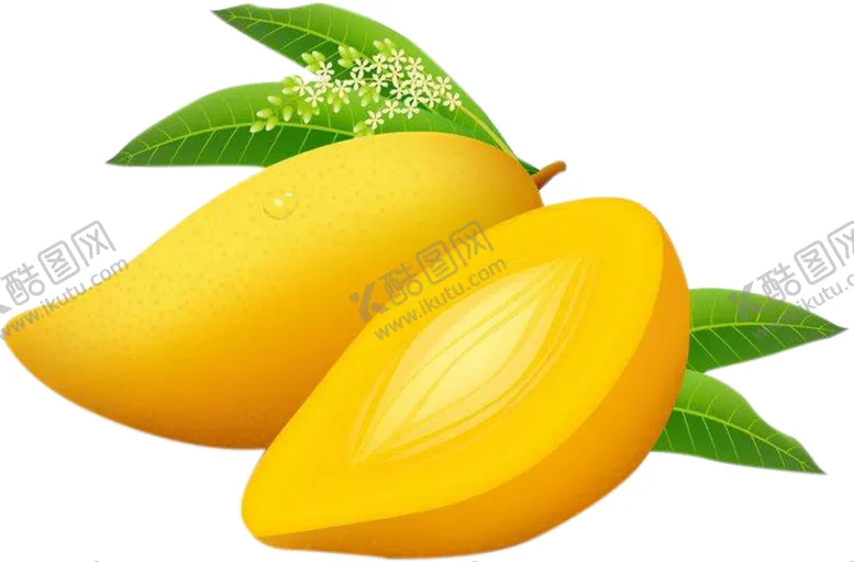 编号：10631402010330273462【酷图网】源文件下载-芒果png