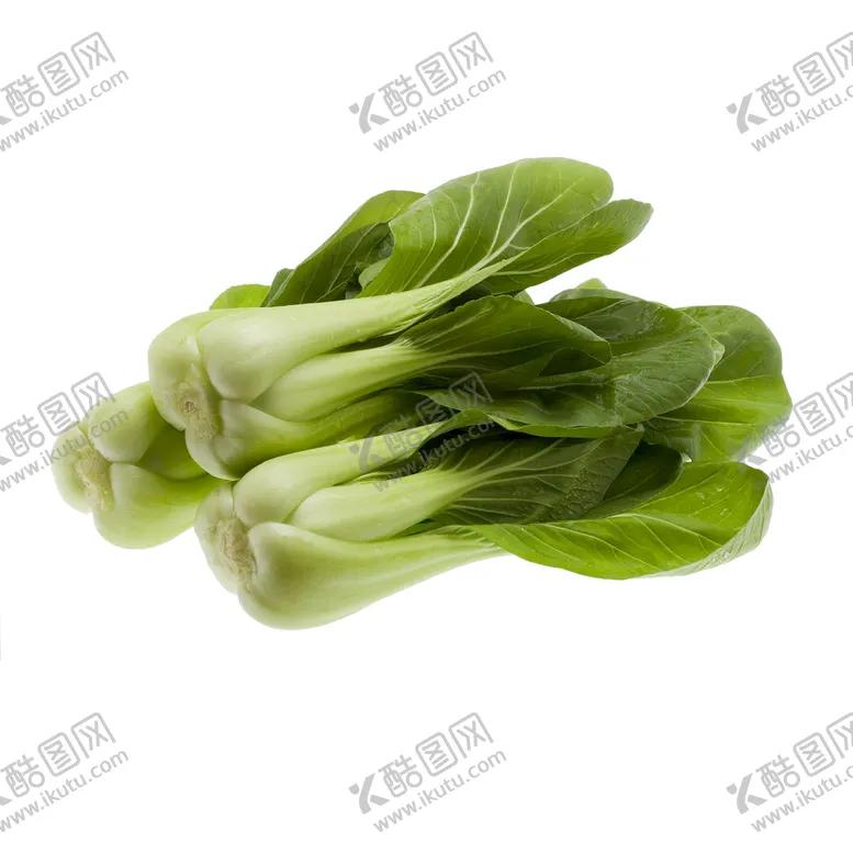 编号：16287511150202497165【酷图网】源文件下载-新鲜蔬菜小青菜