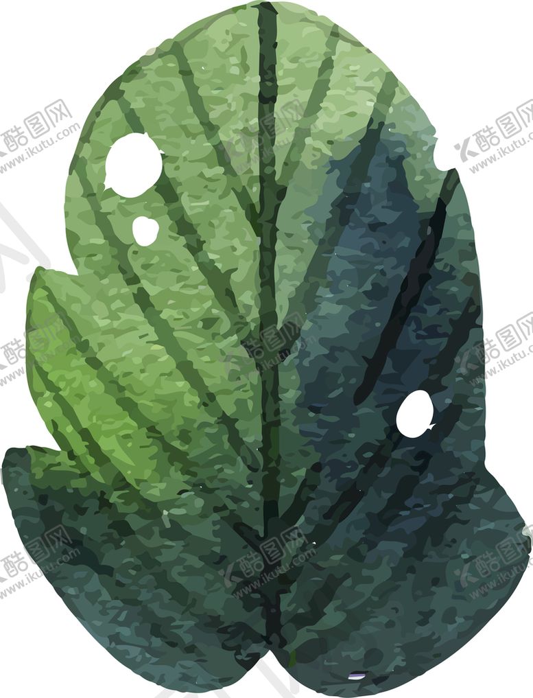 编号：38069409202201595342【酷图网】源文件下载-树叶