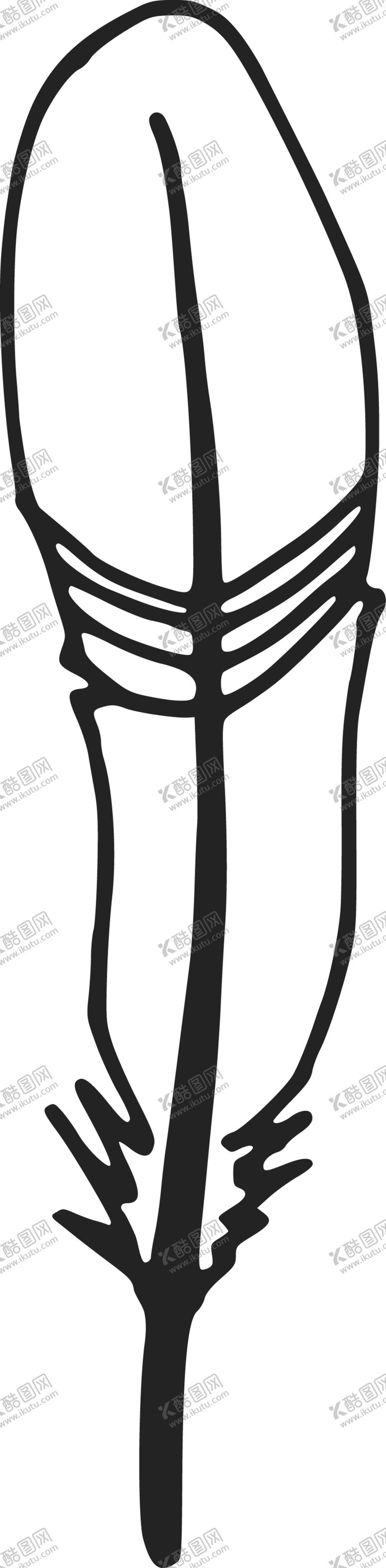 编号：66805101271320405771【酷图网】源文件下载-羽毛 素材