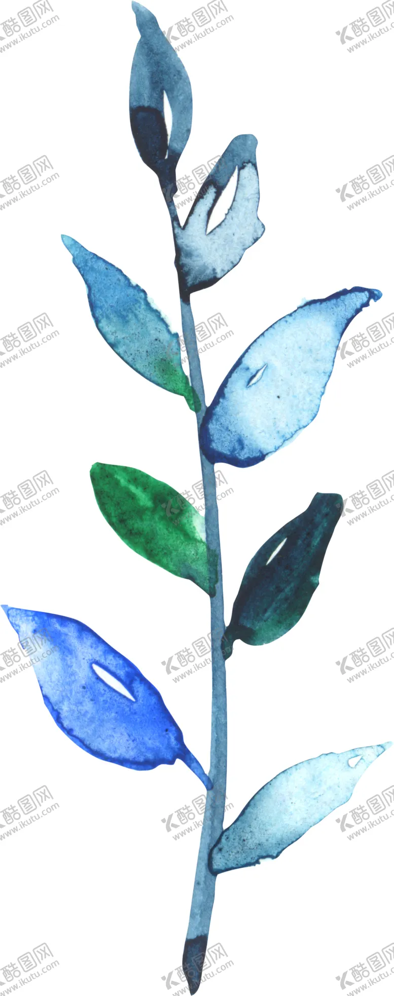 编号：75111106241503523113【酷图网】源文件下载-水彩手绘花卉花朵植物
