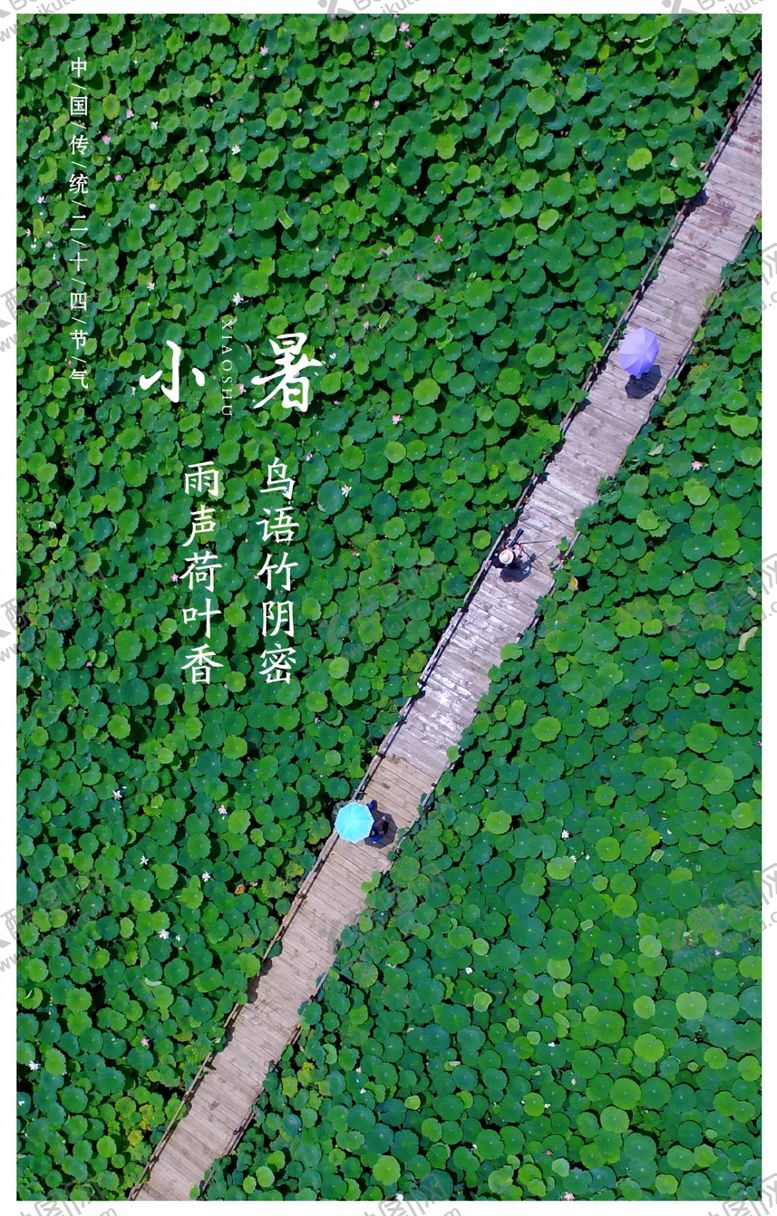 编号：85799109241235426378【酷图网】源文件下载-二十四节气小暑