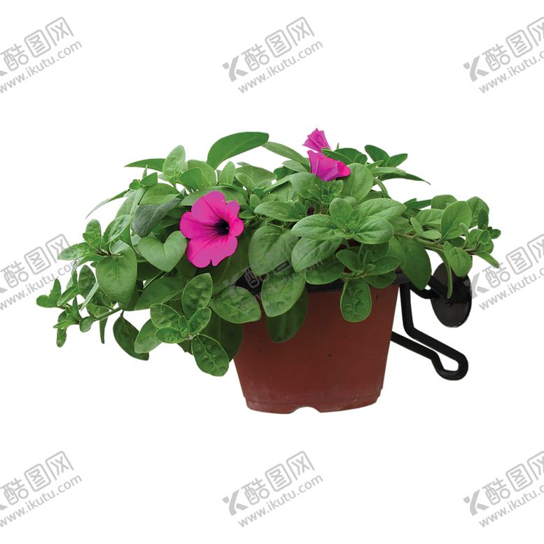 编号：78791307011147375362【酷图网】源文件下载-植物