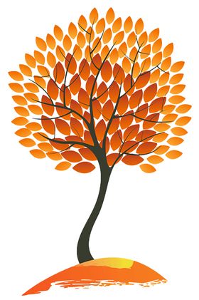 透明大树png素材