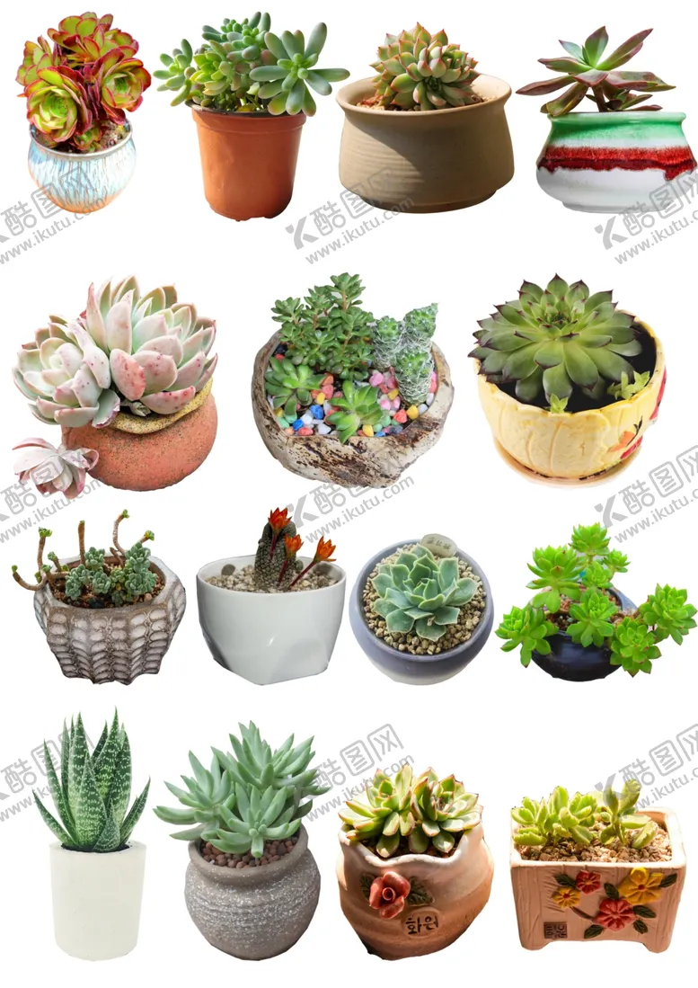 编号：72248104180623045014【酷图网】源文件下载-多肉植物集合