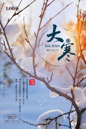 红色简约大寒海报