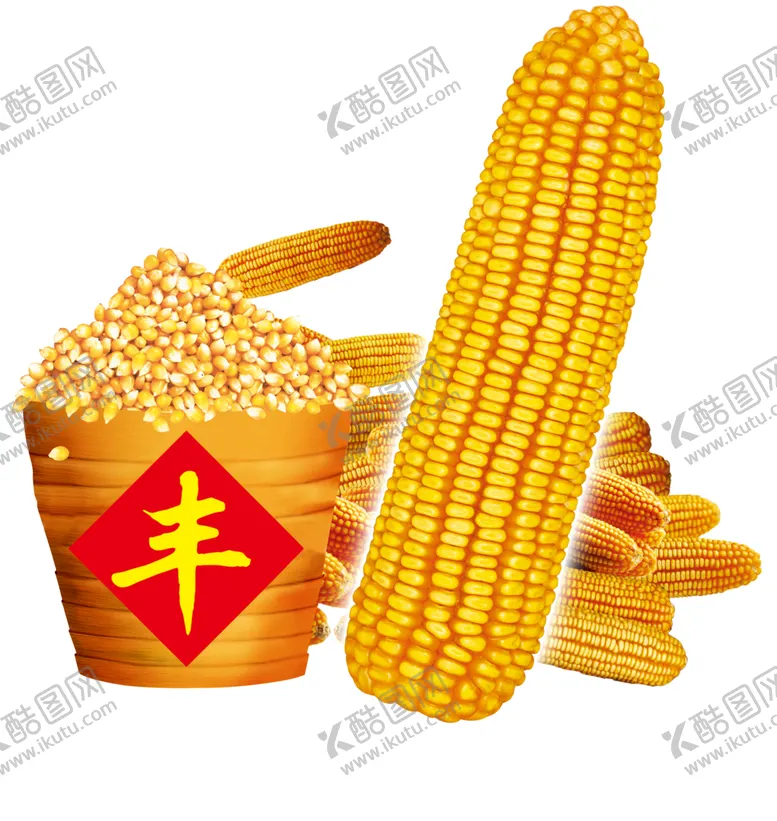 编号：36477906260229103296【酷图网】源文件下载-玉米png