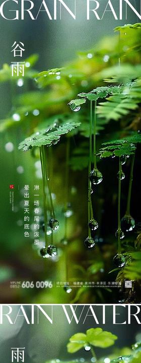 谷雨雨水节气露珠海报