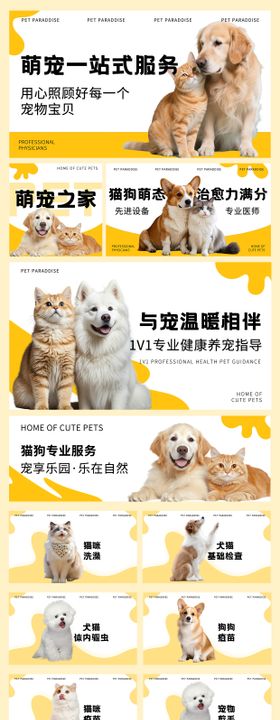 黄色宠物轮播图 