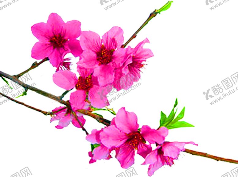 编号：28295109161850105198【酷图网】源文件下载-浪漫素材