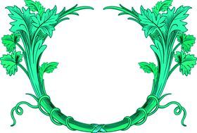 花边素材