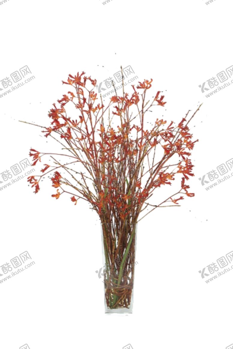 编号：86399310040336379899【酷图网】源文件下载-免抠背景花草树木