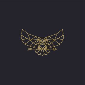 雄鹰LOGO