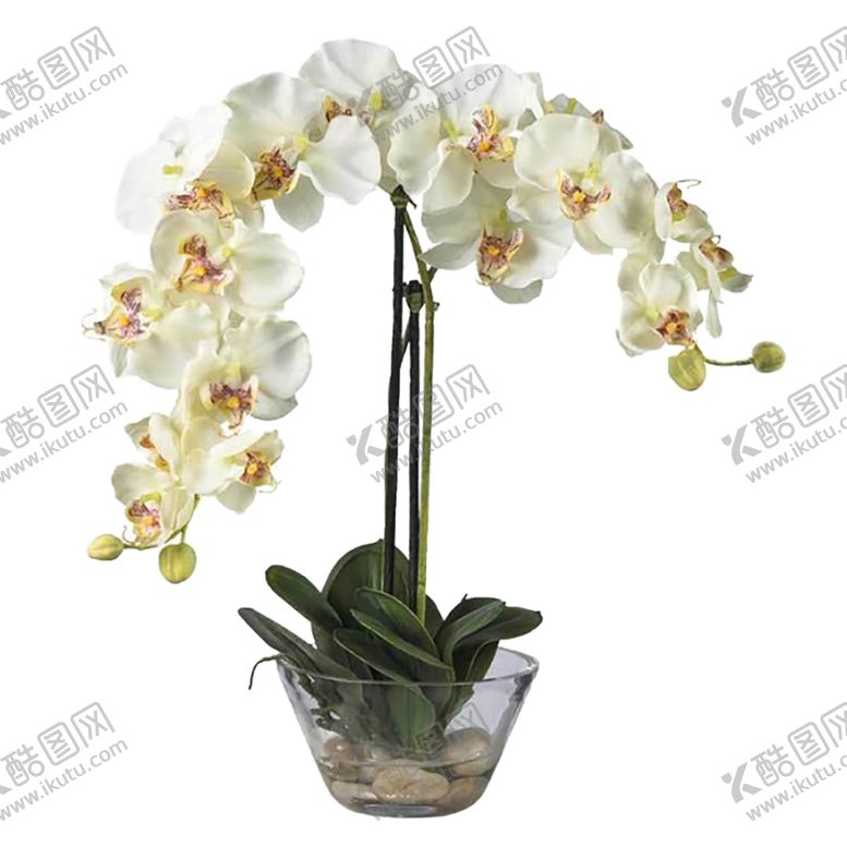 编号：44121010060118019769【酷图网】源文件下载-花艺