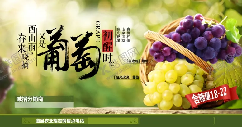 编号：19136604171717398646【酷图网】源文件下载-葡萄水果促销活动宣传海报素材