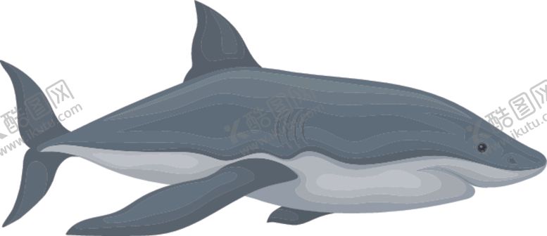 编号：87791609281416162978【酷图网】源文件下载-鲨鱼