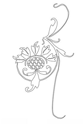 花卉组合