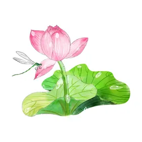 荷花元素植物叶手绘