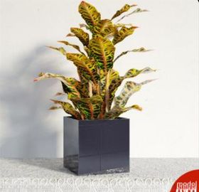 3DMAX模型植物花卉景观