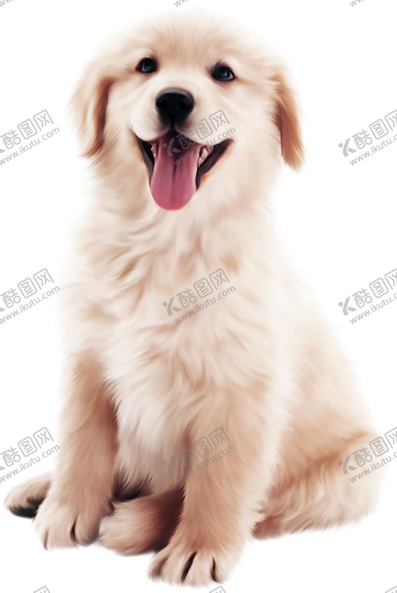 编号：92906405060221071166【酷图网】源文件下载-狗狗
