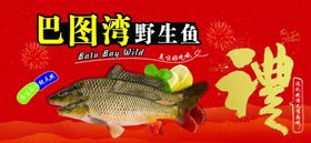 野生鱼