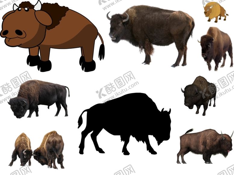 编号：42242609102152133654【酷图网】源文件下载-野牛png免扣高清素材
