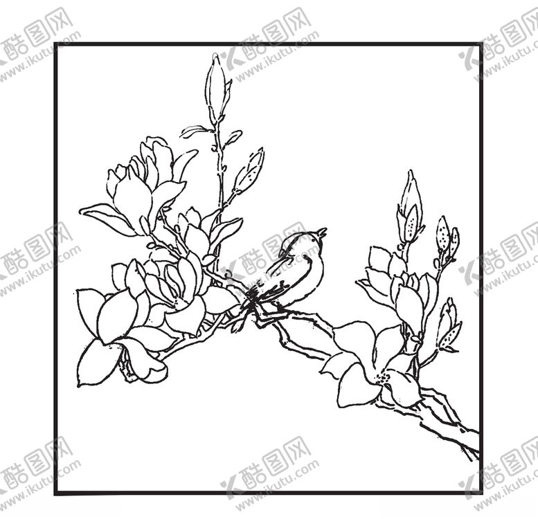 编号：29209510062117587037【酷图网】源文件下载-小鸟与玉兰