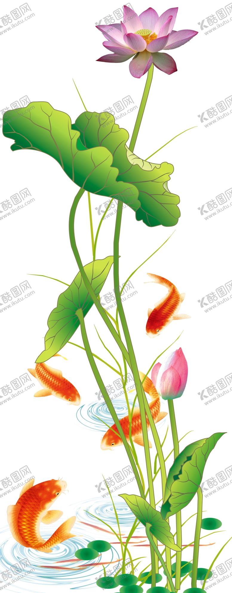 编号：36615506142354269721【酷图网】源文件下载-荷花