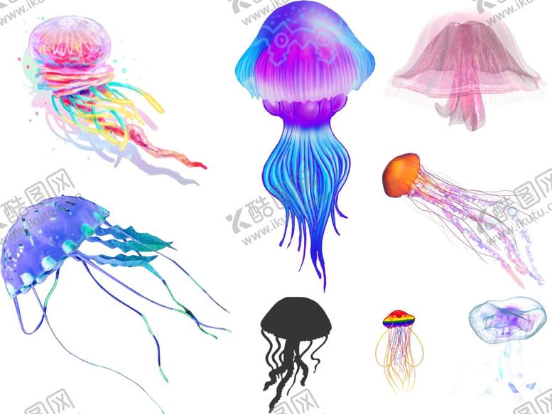 编号：22998406241521237934【酷图网】源文件下载-水母png免扣高清素材