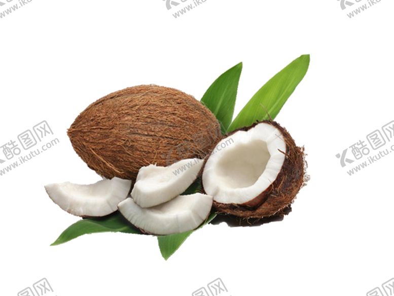编号：81967109282235424736【酷图网】源文件下载-椰子