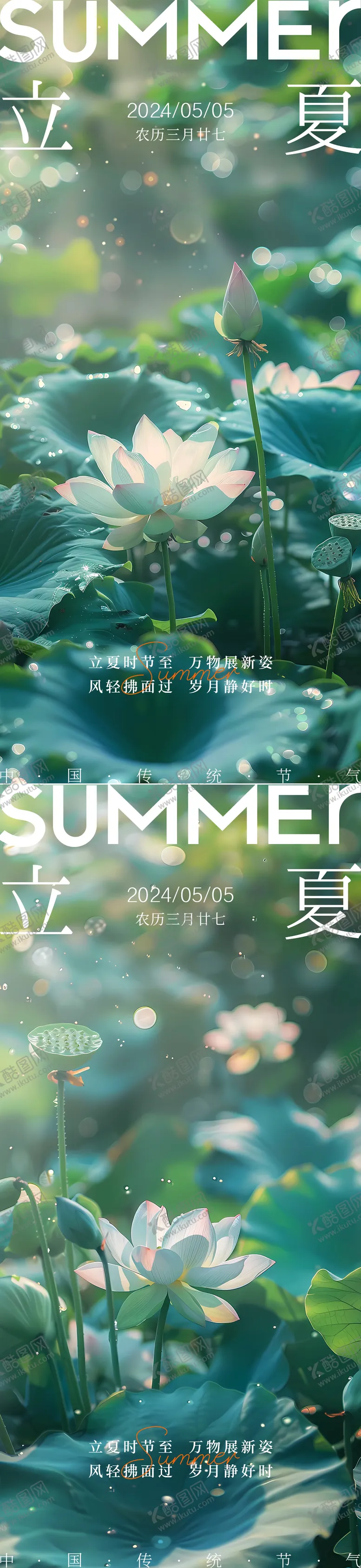 编号：12641611300210185349【酷图网】源文件下载-立夏荷花节气简约海报