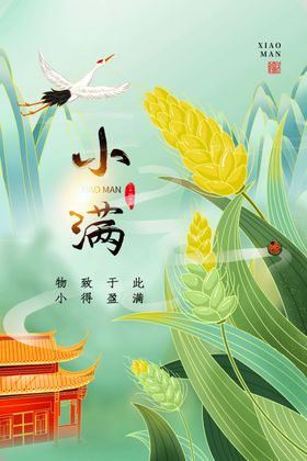 小满海报节日传统节气麦子