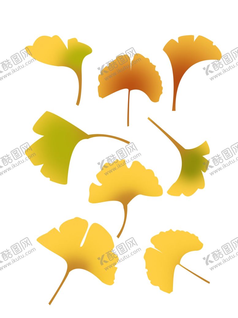 编号：16116310121838511973【酷图网】源文件下载-银杏叶素材