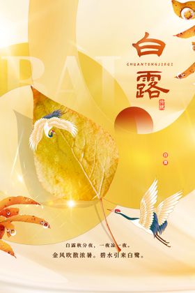 白露海报宣传活动