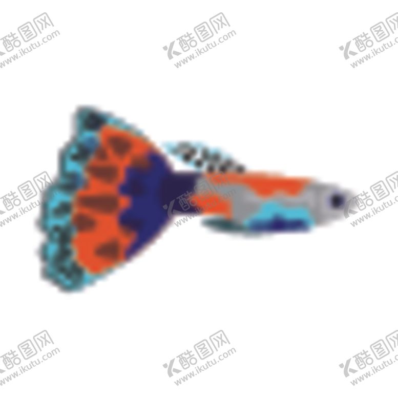 编号：69445005022323495965【酷图网】源文件下载-鱼类矢量素材