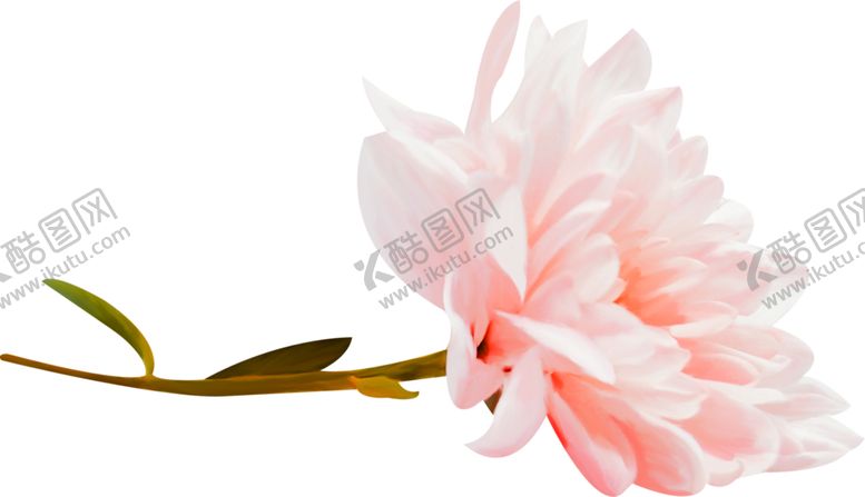 编号：79360506240911103680【酷图网】源文件下载-鲜花素材