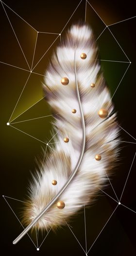 羽毛玄关