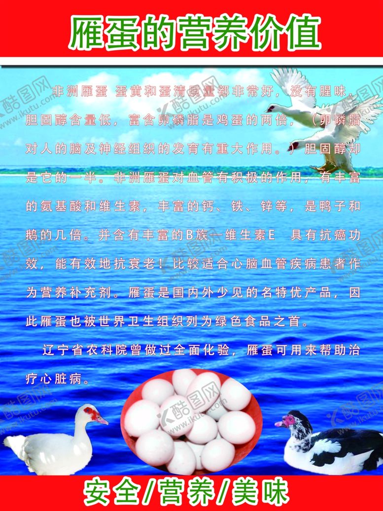 编号：91579104200413388311【酷图网】源文件下载-雁蛋的营养价值