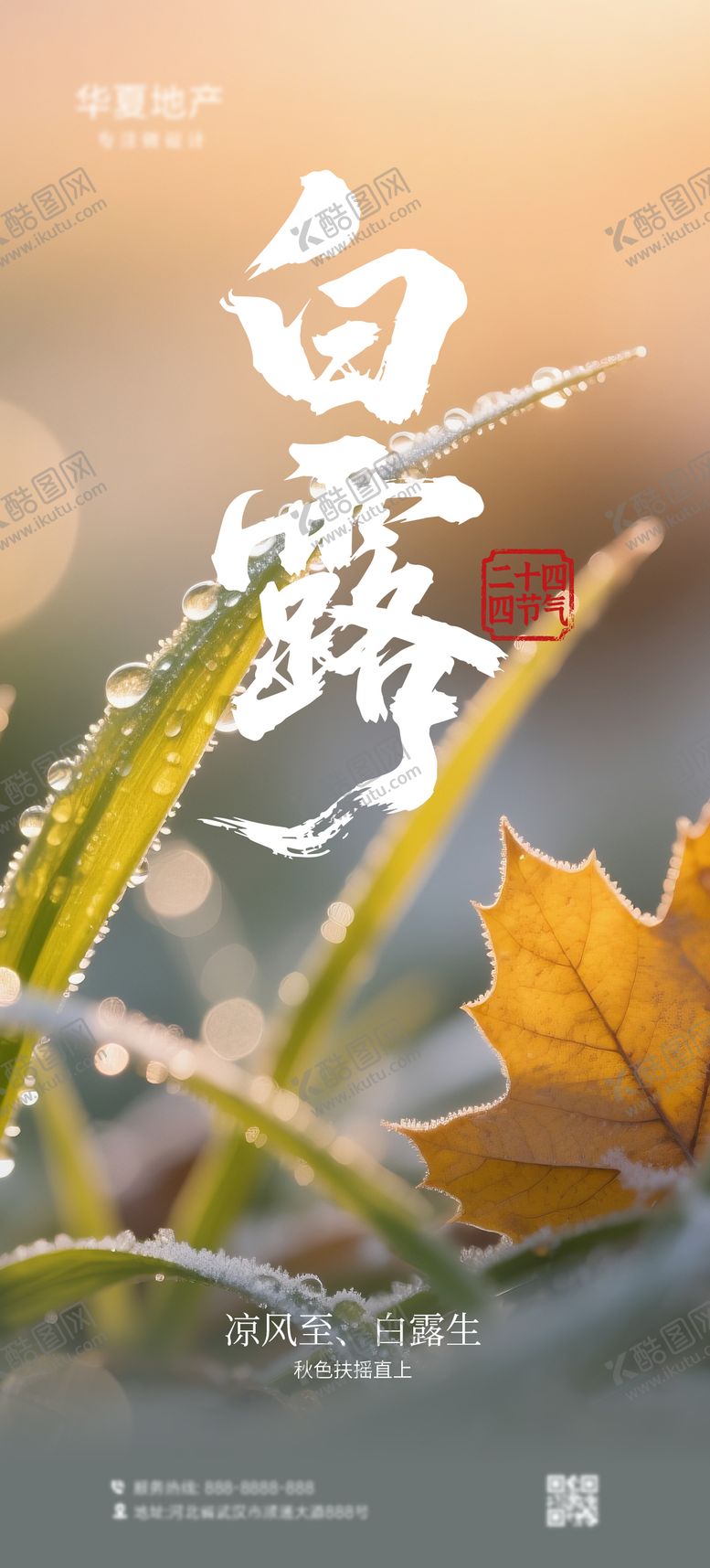 编号：34142208302227423717【酷图网】源文件下载-白露海报