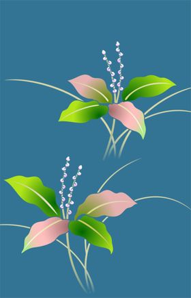 中式花纹