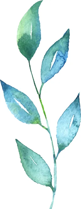 水彩手绘花卉花朵植物