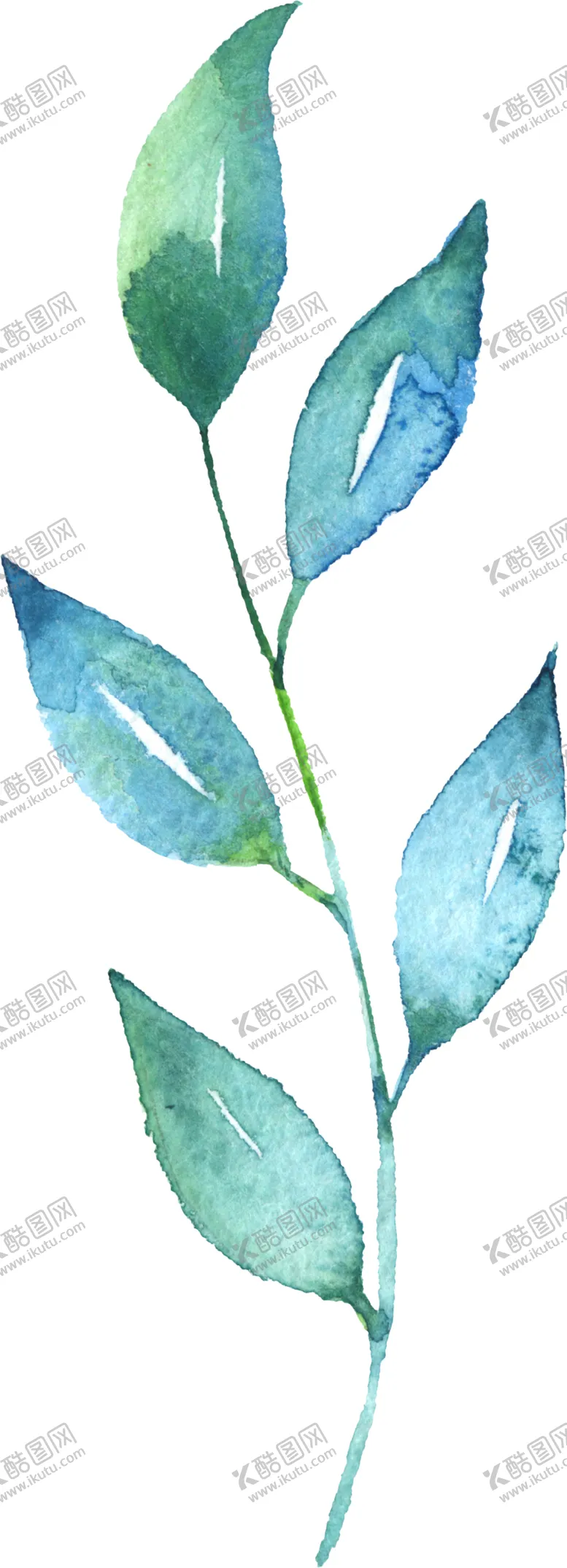 编号：76830406161526193942【酷图网】源文件下载-水彩手绘花卉花朵植物