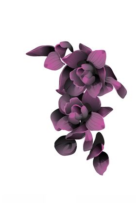 鲜花印花