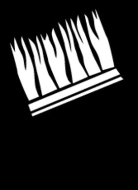 刷子