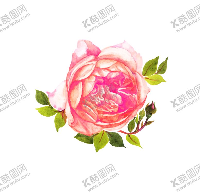 编号：94582209141009302841【酷图网】源文件下载-水彩画花包装素材